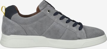 SALAMANDER Sneakers in Grey