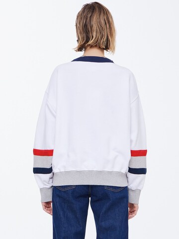 Ball Sweatshirt 'Luca' in Grey