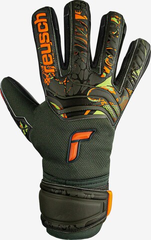 REUSCH Athletic Gloves 'Attrakt Grip Evolution' in Orange