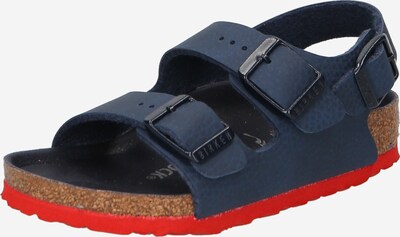 BIRKENSTOCK Åpne sko 'Milano' i marine / brun / rød, Produktvisning