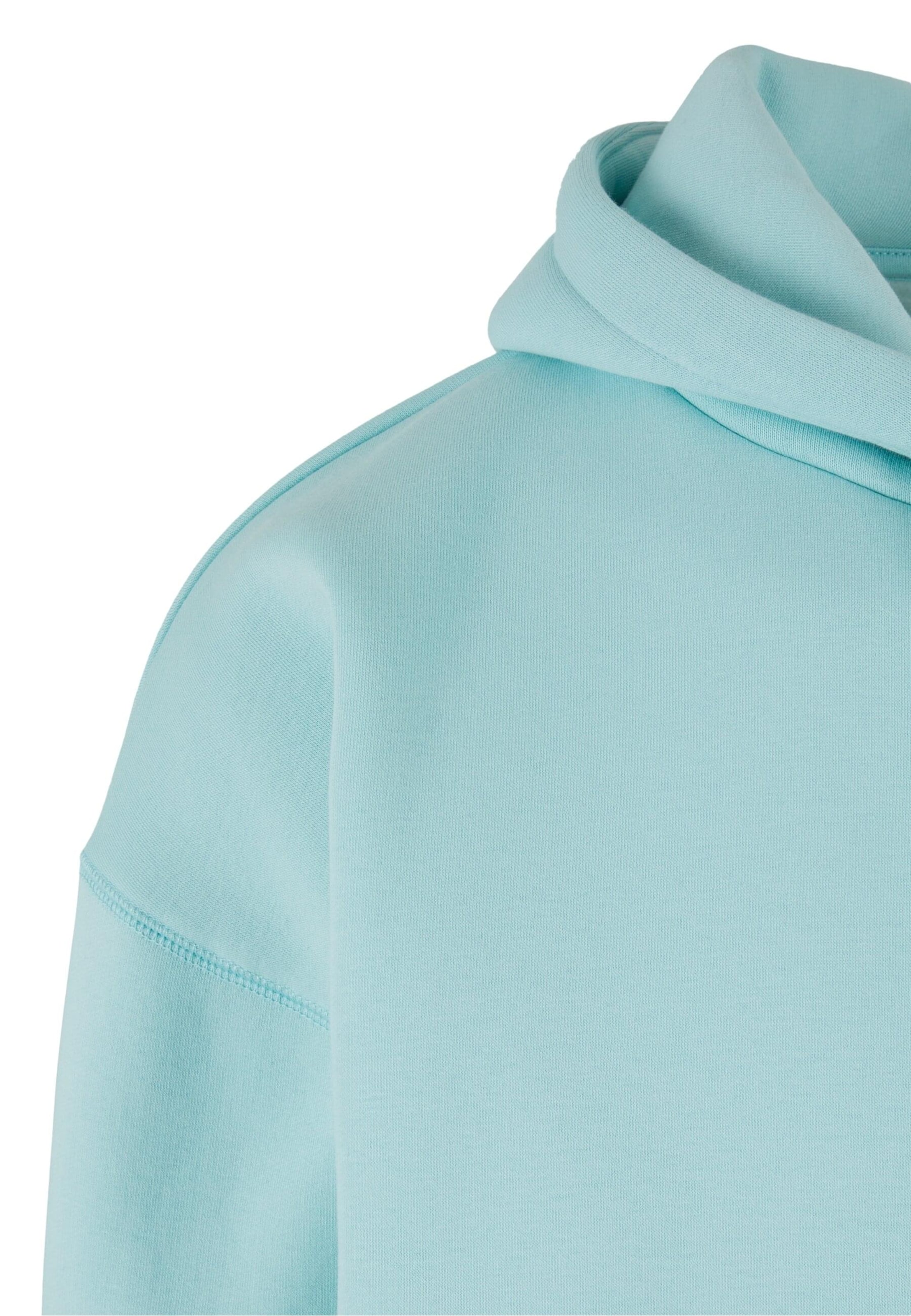 Felpa 'ZM243-039-2' di ZOO YORK in verde