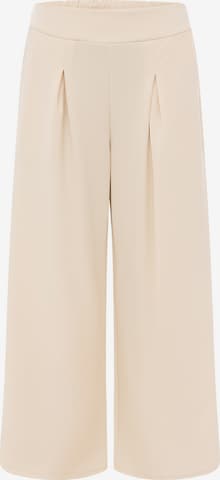 Zwillingsherz Pleat-Front Pants in Beige: front