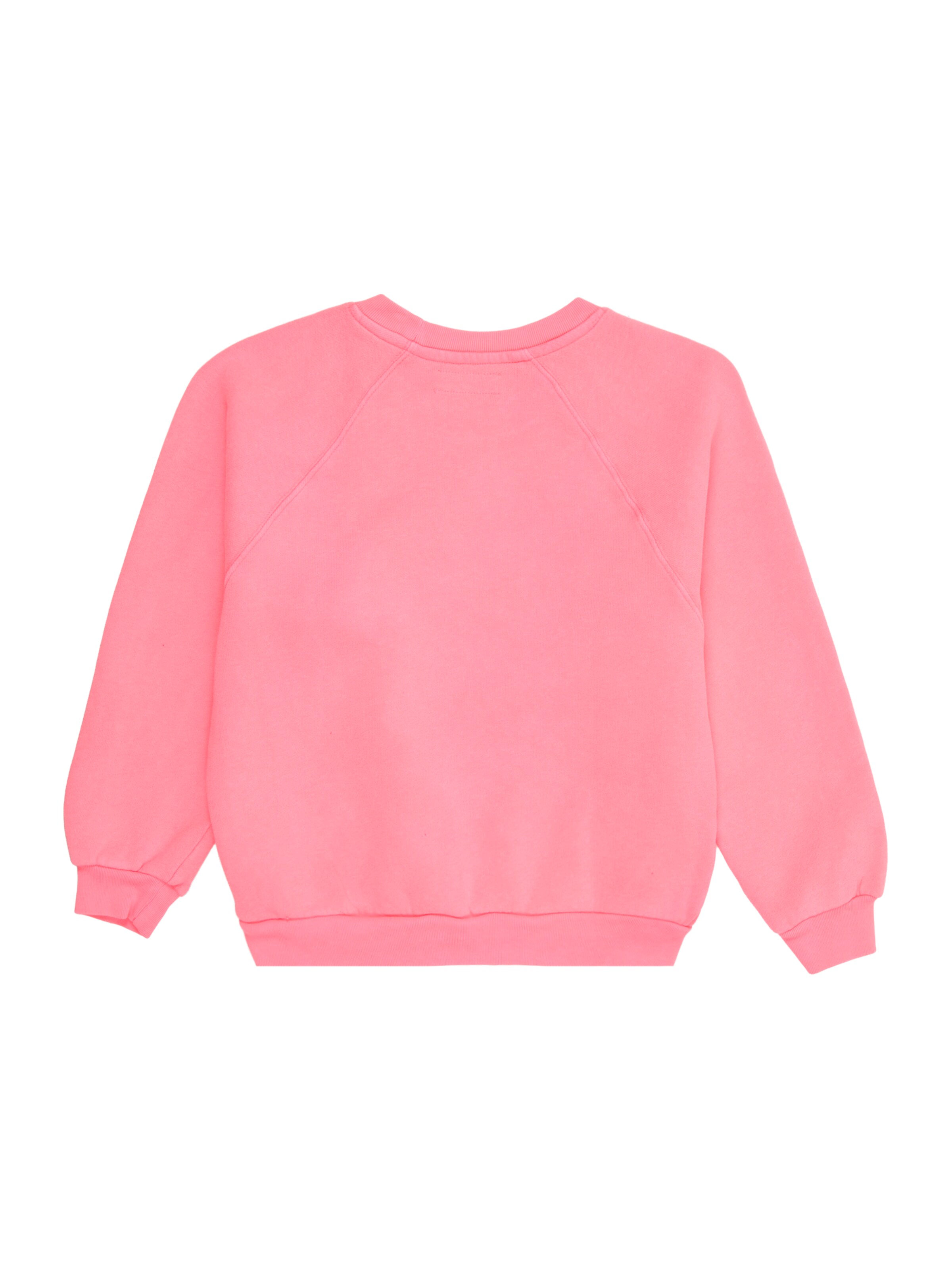 AMERICAN VINTAGE Свитшот 'IZUBIRD' в Ярко-розовый