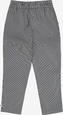 Müsli by GREEN COTTON Regular Broek in Zwart