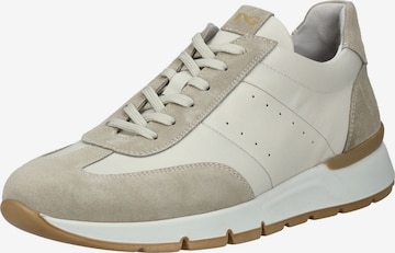 Sneaker bassa di Nero Giardini in grigio: frontale