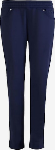 Canyon Slim fit Workout Pants in Blue: front