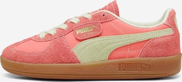 Baskets basses 'Palermo' PUMA en orange : devant