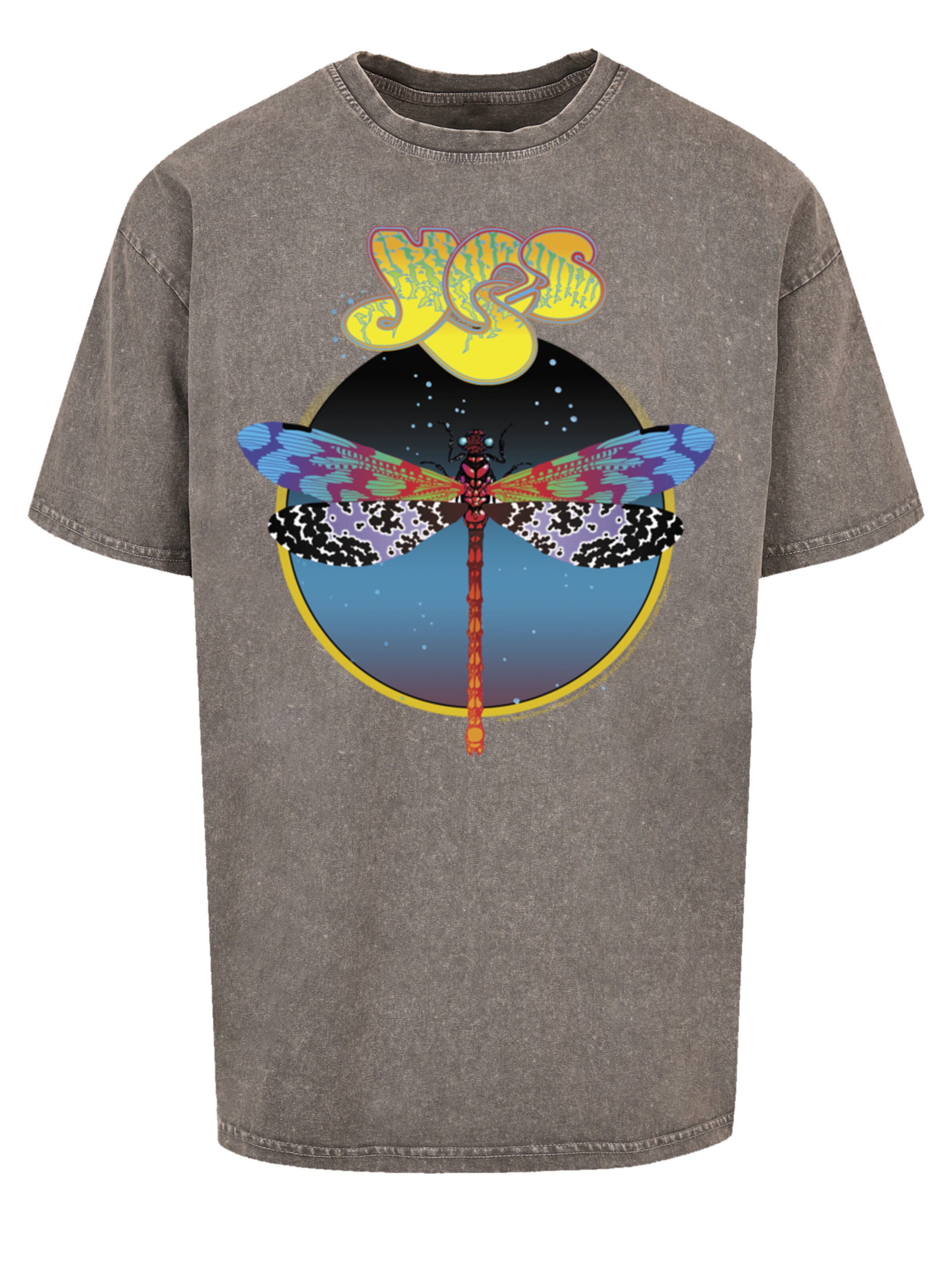 F4NT4STIC T-Shirt 'Yes Dragonfly Tour V1' in Grau: Vorderseite