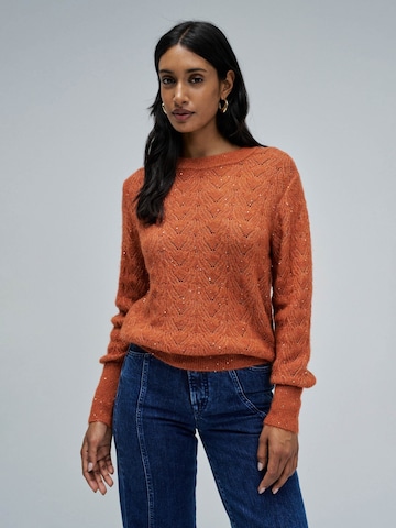Salsa Jeans Trui in Oranje: voorkant