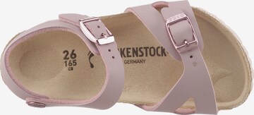 BIRKENSTOCK Sandale  'Rio' in Lila