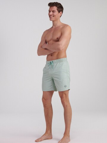 Shorts de bain Shiwi en vert