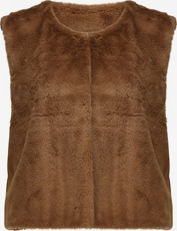 Veste mi-saison Deeluxe en marron : devant