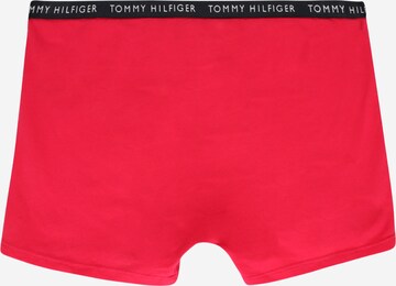 Tommy Hilfiger Underwear Spodní prádlo – modrá