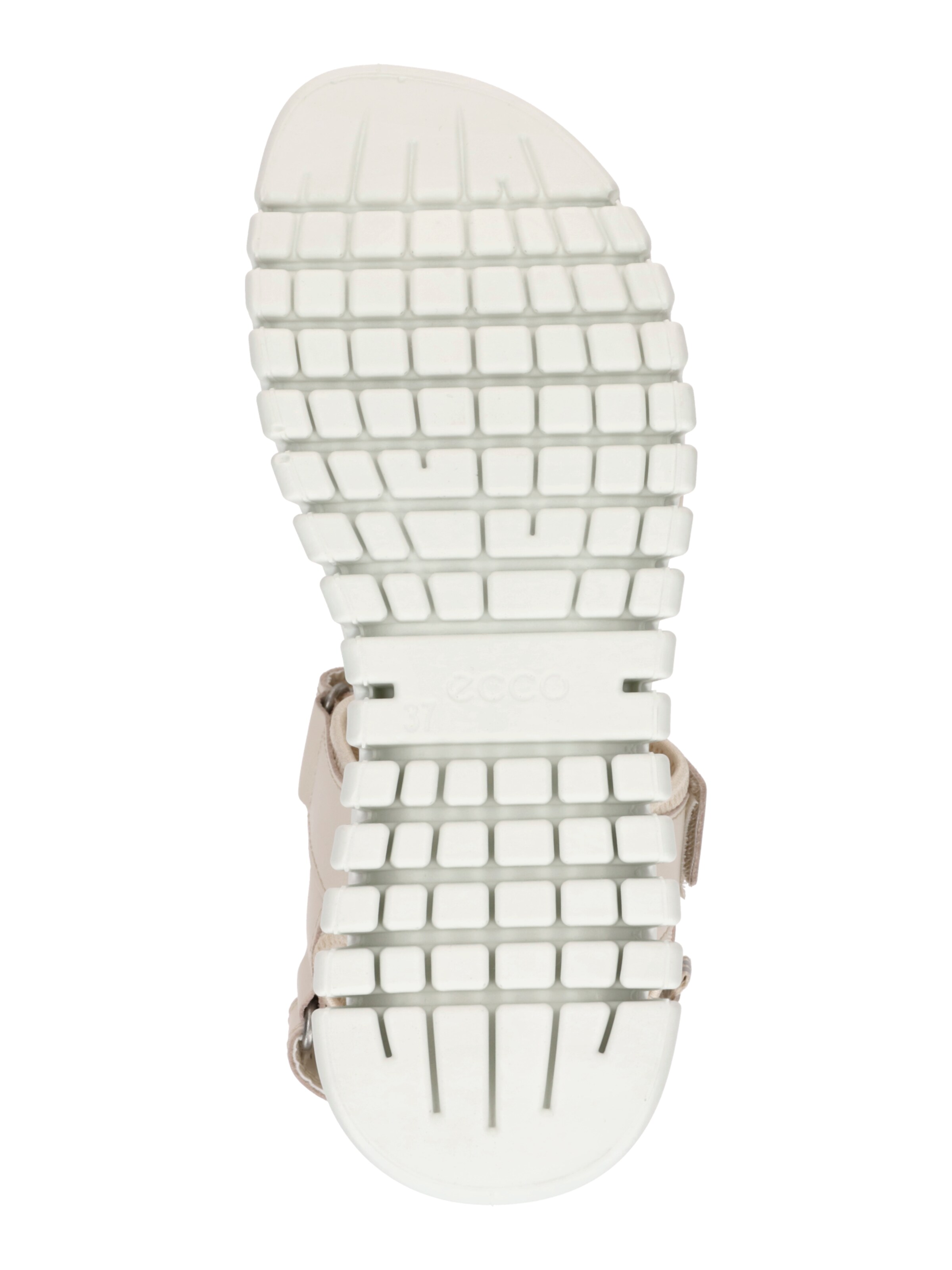ECCO Sandals in Beige