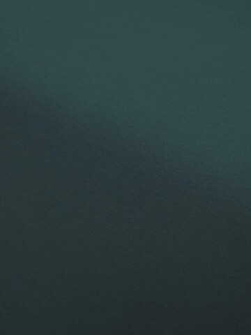 ESSENZA Bed Sheet in Green