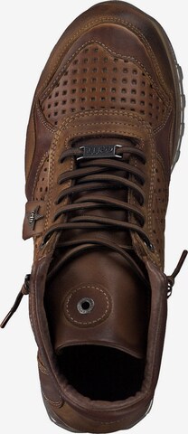 Cetti High-Top Sneakers 'C1048' in Brown