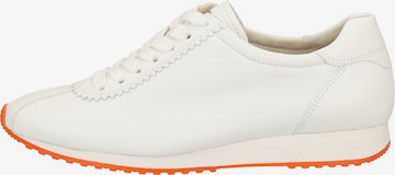 Paul Green Sneakers in White