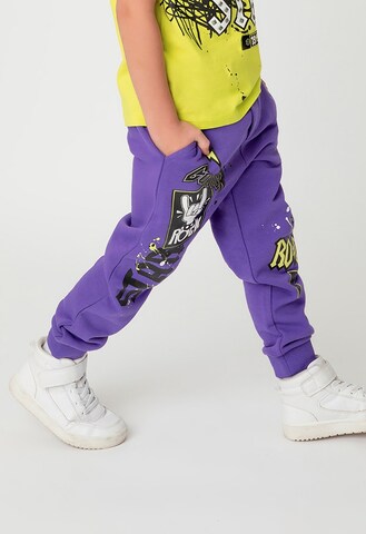 Gulliver Regular Pants in Purple: front