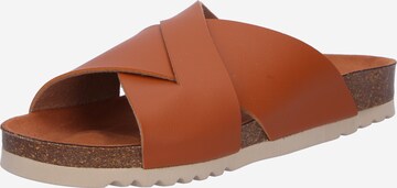 SCHOLL Mules 'NOELLE 24' in Brown: front