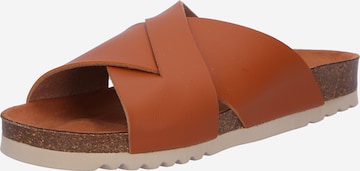 SCHOLL Mules 'NOELLE 24' in Brown: front