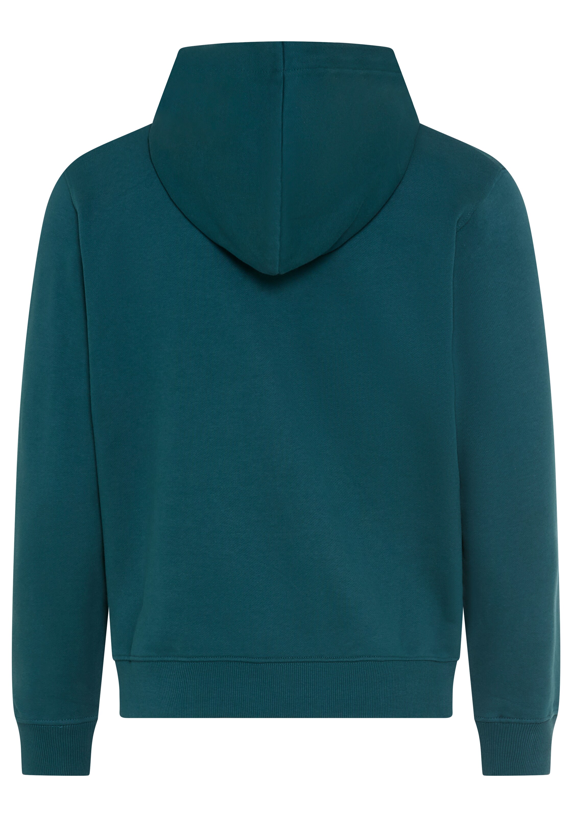 REPLAY Sweatjacke in Grün