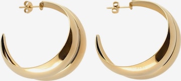 Boucles d'oreilles My Jewellery en or : devant