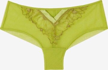 INTIMISSIMI Boyshorts 'SWEET LIKE SUGAR' in Green: front