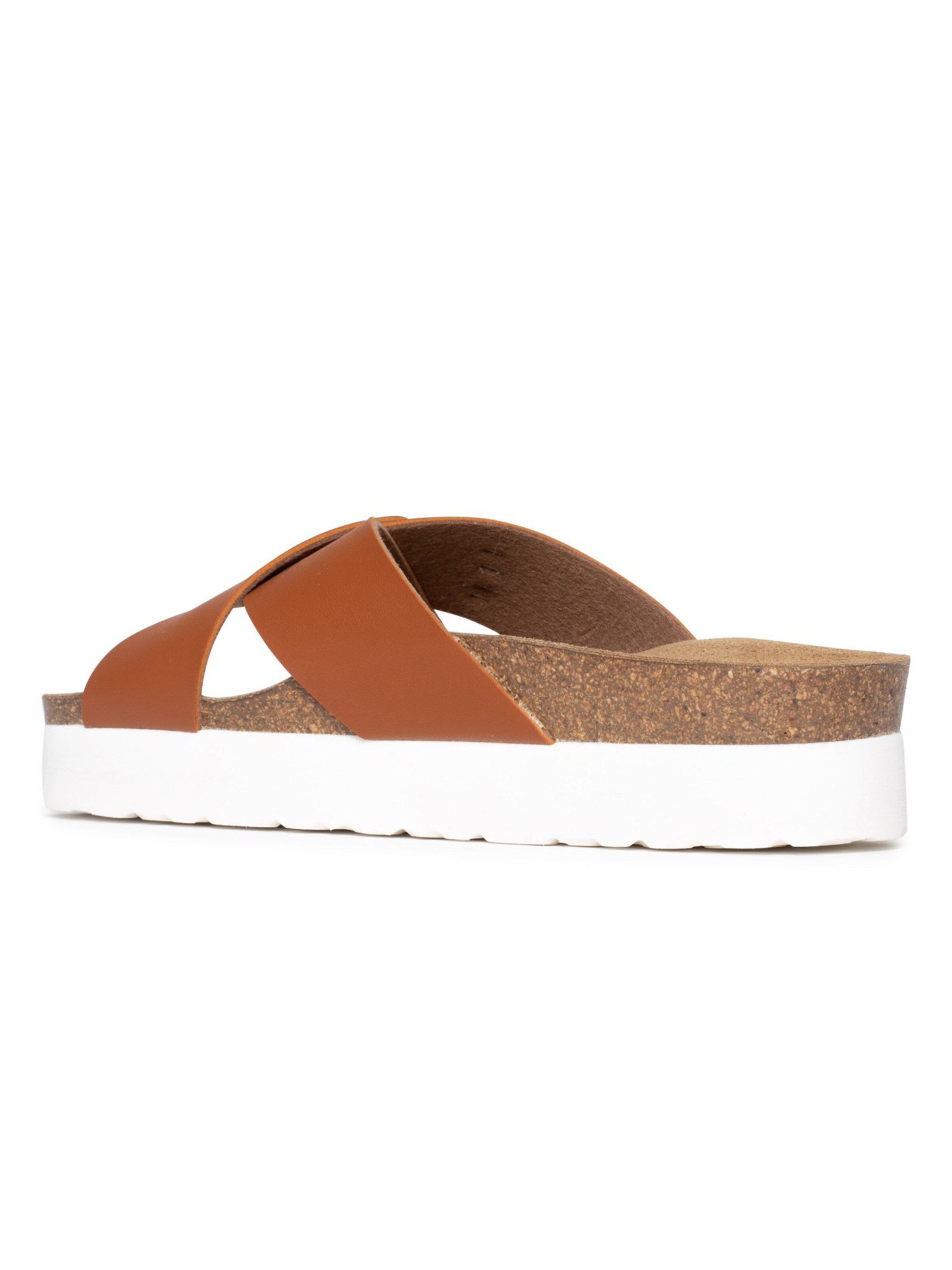 Bayton Mules 'Ajax' in Brown