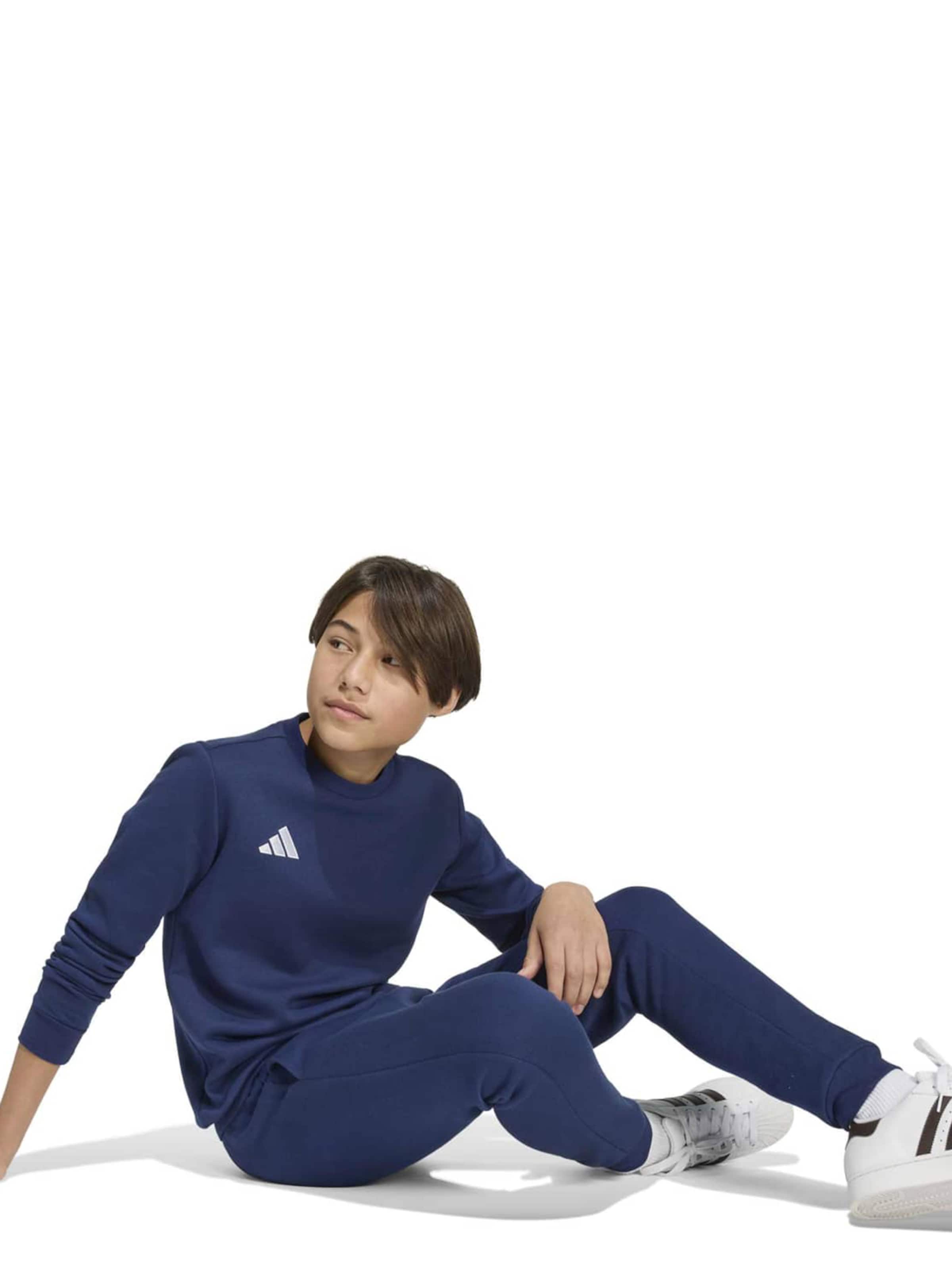 ADIDAS PERFORMANCE Sport sweatshirt 'ENT26' i blå