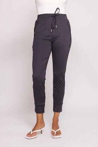 Zhrill Slim fit Pants in Grey: front