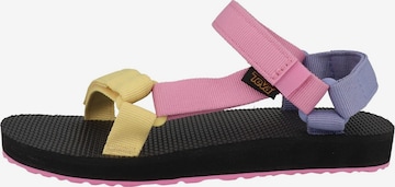 TEVA Sandals in Pink: front