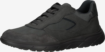 Sneaker bassa di GEOX in grigio: frontale