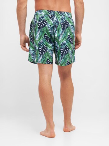 TOOche Board Shorts 'Lugano' in Green