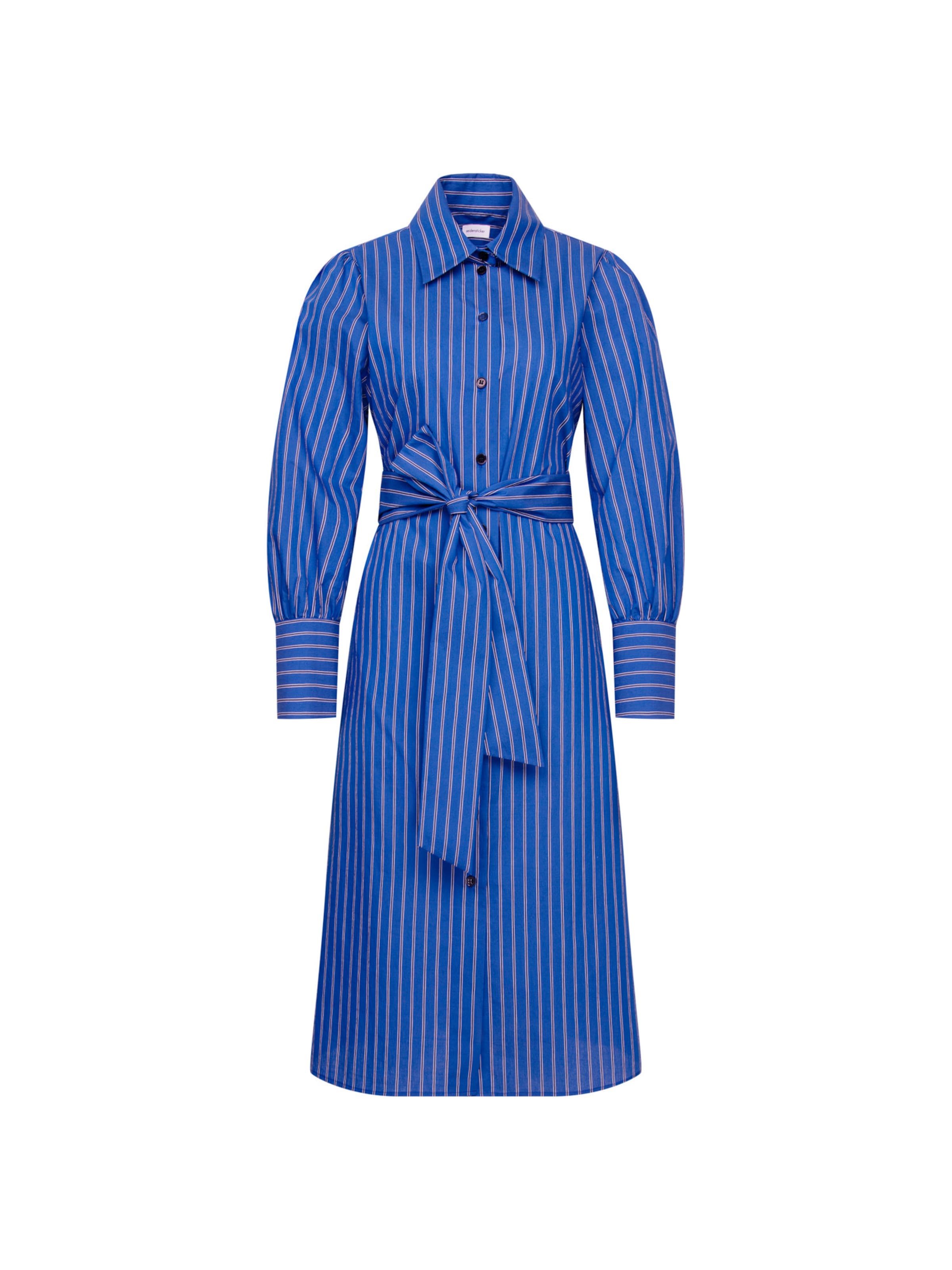Robe 'February Drop 261' SEIDENSTICKER en bleu : devant