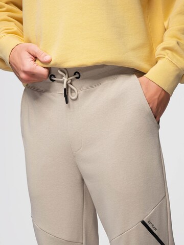 Ombre Tapered Pants in Beige