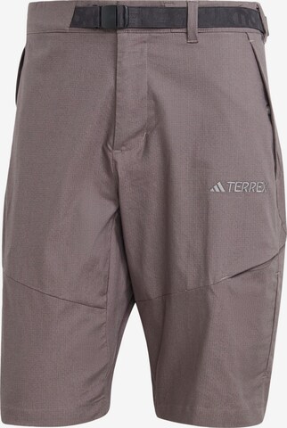 ADIDAS TERREX Regular Outdoor Pants 'Xploric' in Grey: front