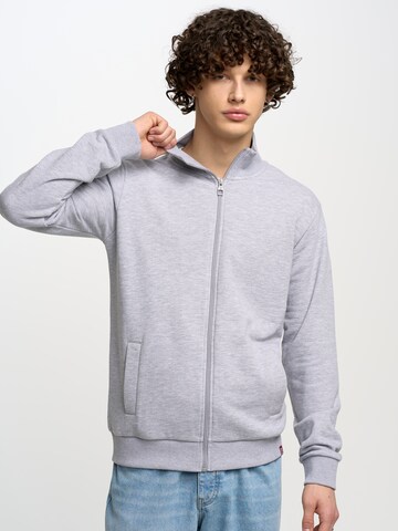 BIG STAR Sweatshirt 'DUNNOS' in Grey