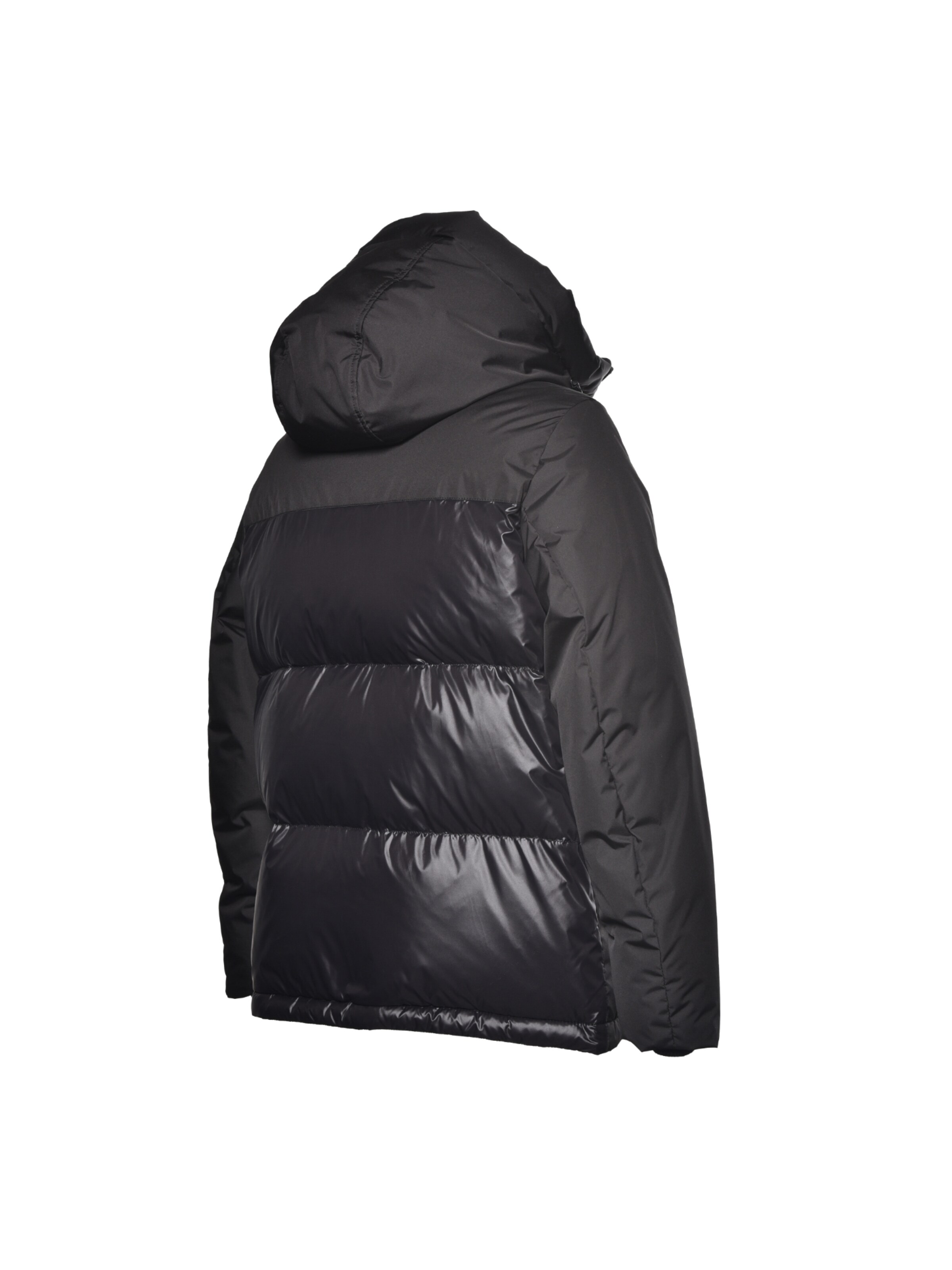 BALDININI Winter Jacket in Black