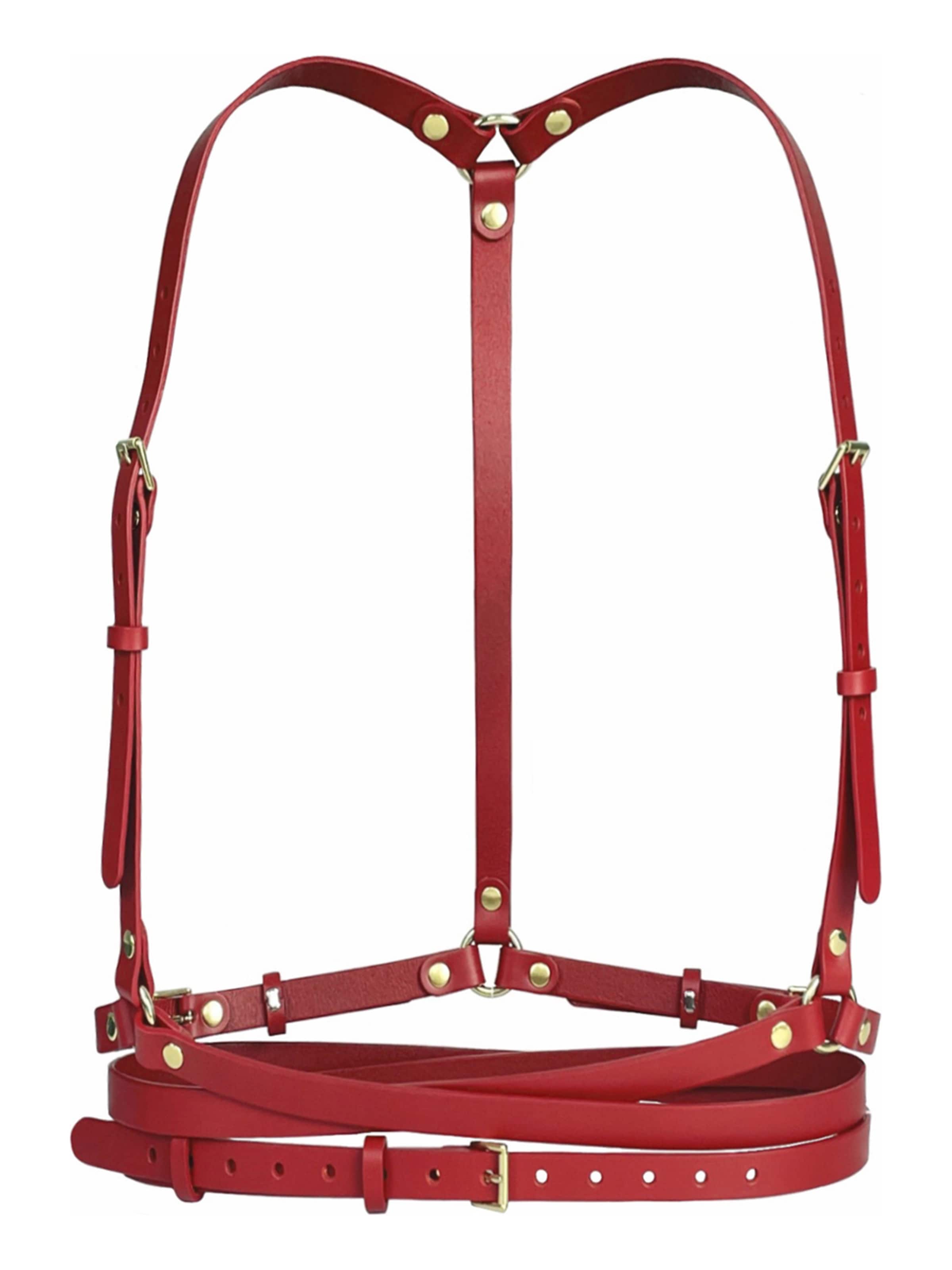 Haute Cuir Belt 'Slim Double Belt Harness' in Red: front