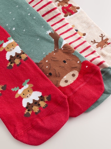 Next Nogavice | mešane barve barva