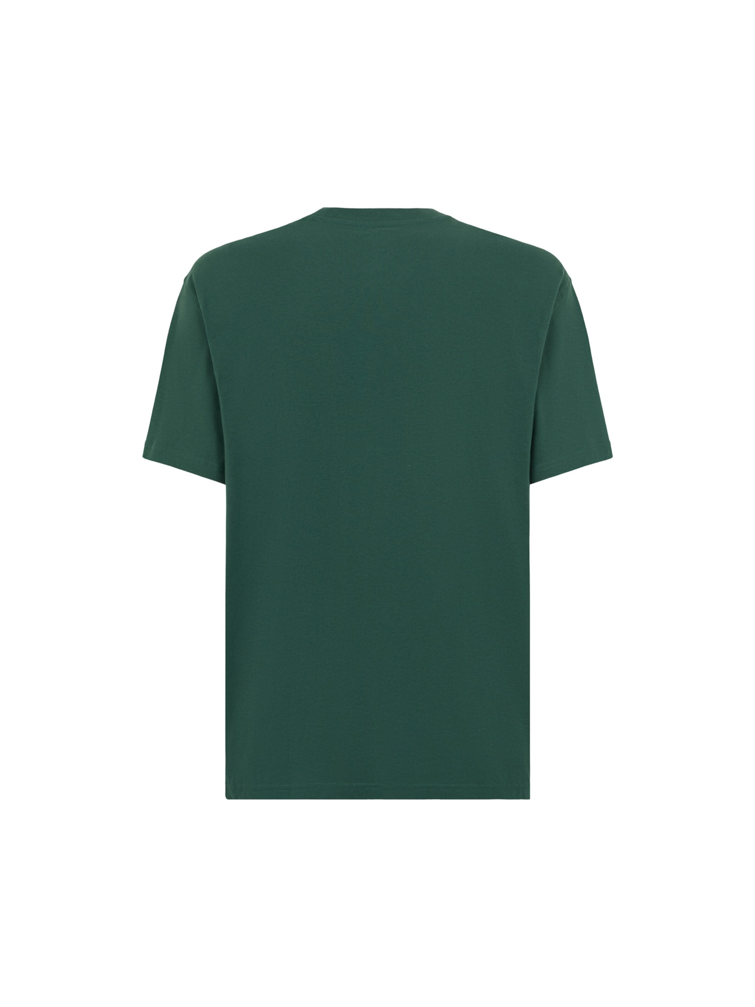 DICKIES Shirt 'Luray' in Green