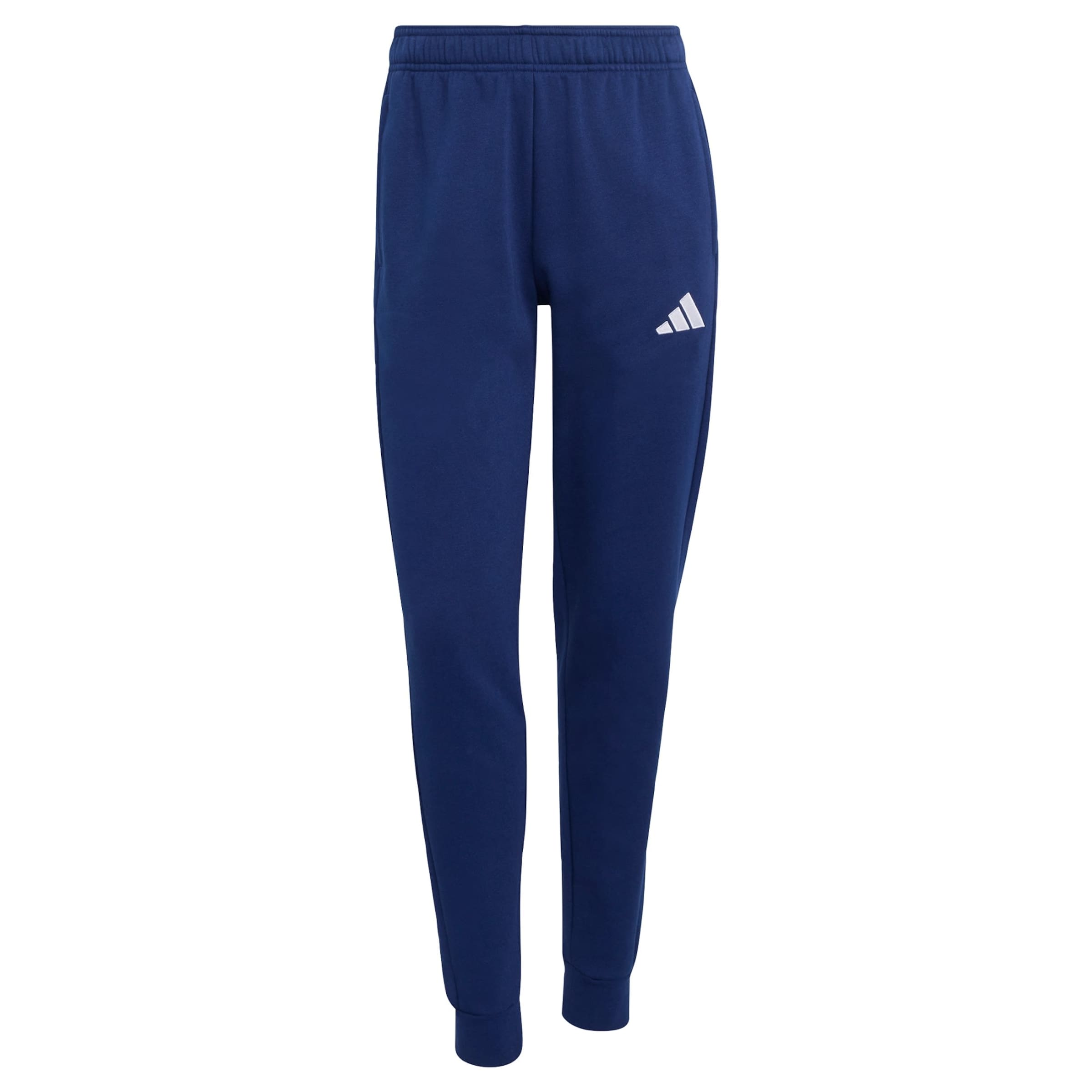 Pantalon de sport 'Entrada26' ADIDAS PERFORMANCE en bleu : devant
