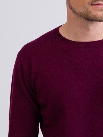 Pullover di CASH-MERE.CH in lilla