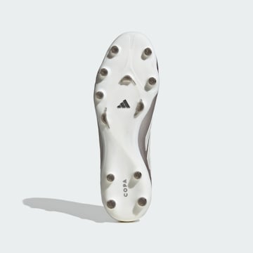 ADIDAS PERFORMANCE Fußballschuh 'Copa Pure IV Pro' in Grau