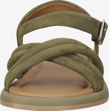 SANSIBAR Sandalen met riem in Groen