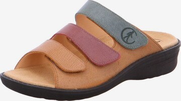 Ganter Mules in Mixed colors: front