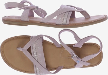 TOMS Sandalen 40 in Lila: predná strana