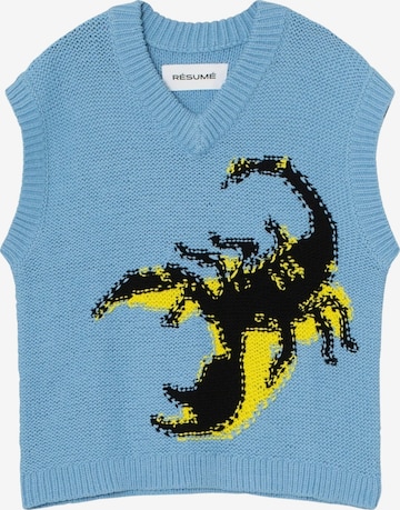 Résumé Neulepaita 'Tabitha' värissä sininen: etupuoli