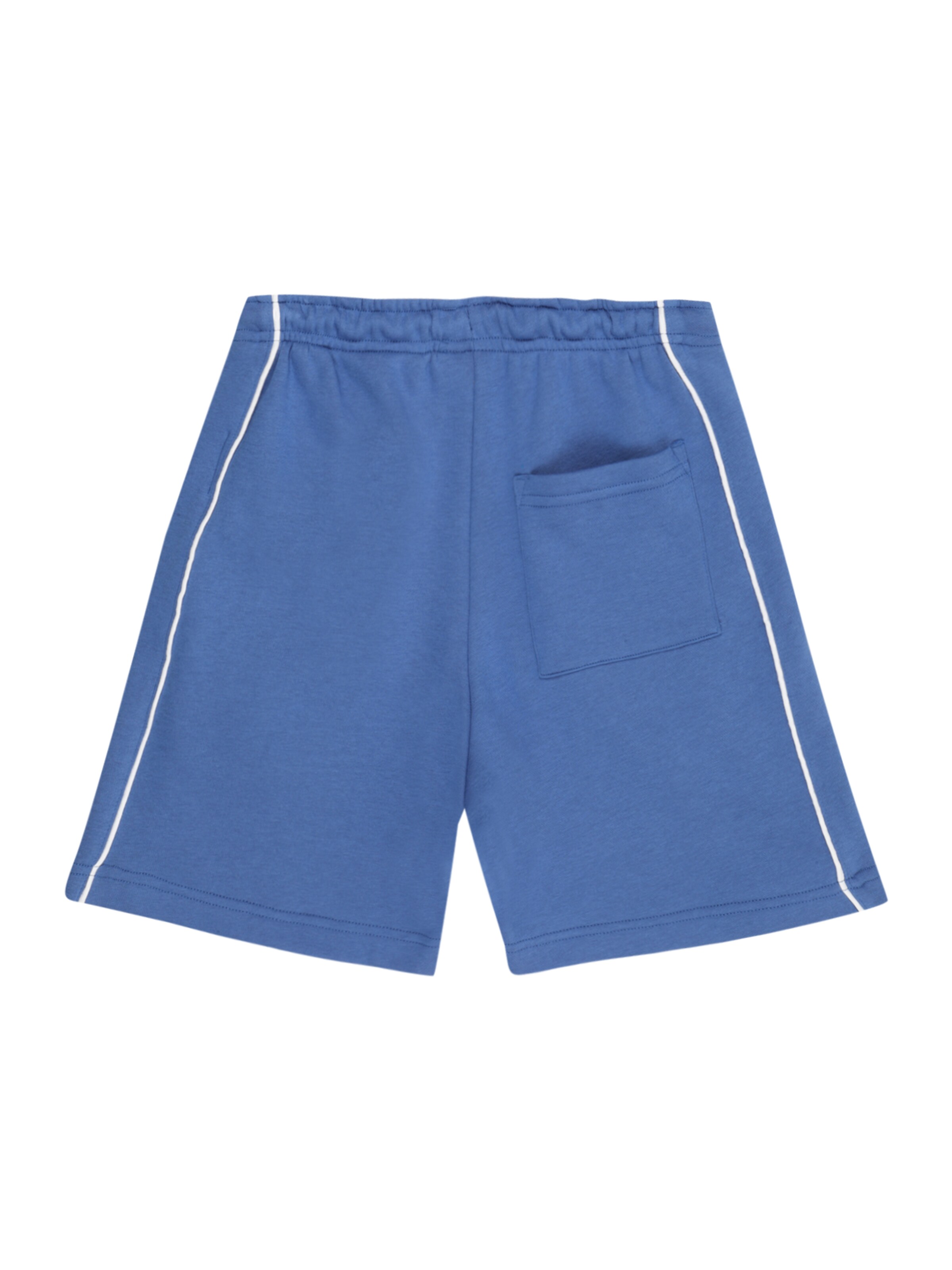 ELEMENT Regular Sportbyxa 'CORNELL 90s' i blå
