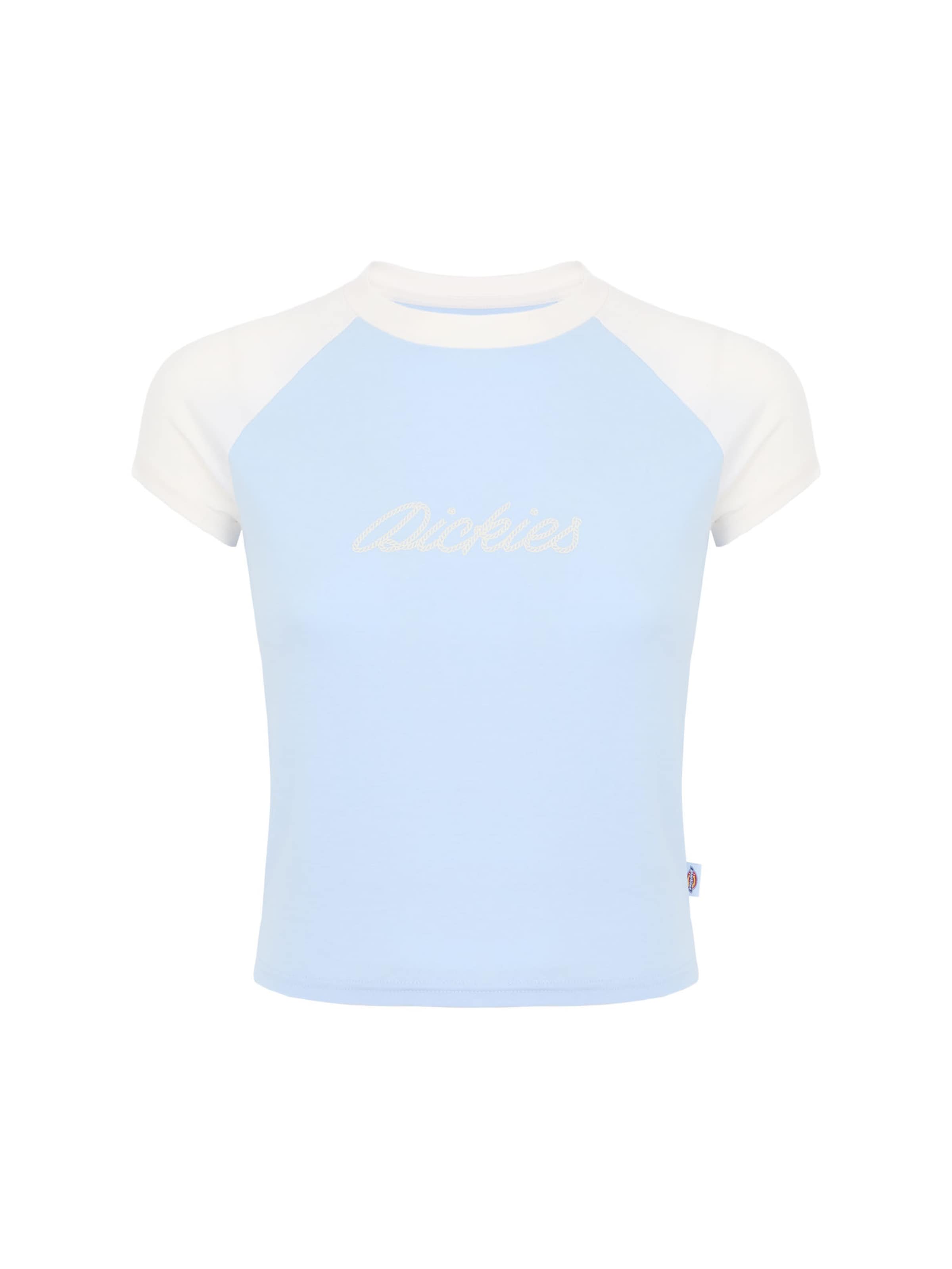 DICKIES Tričko 'DICKIES ROPE' – modrá: přední strana